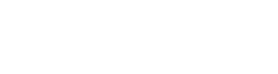 Black Photon Black Photon